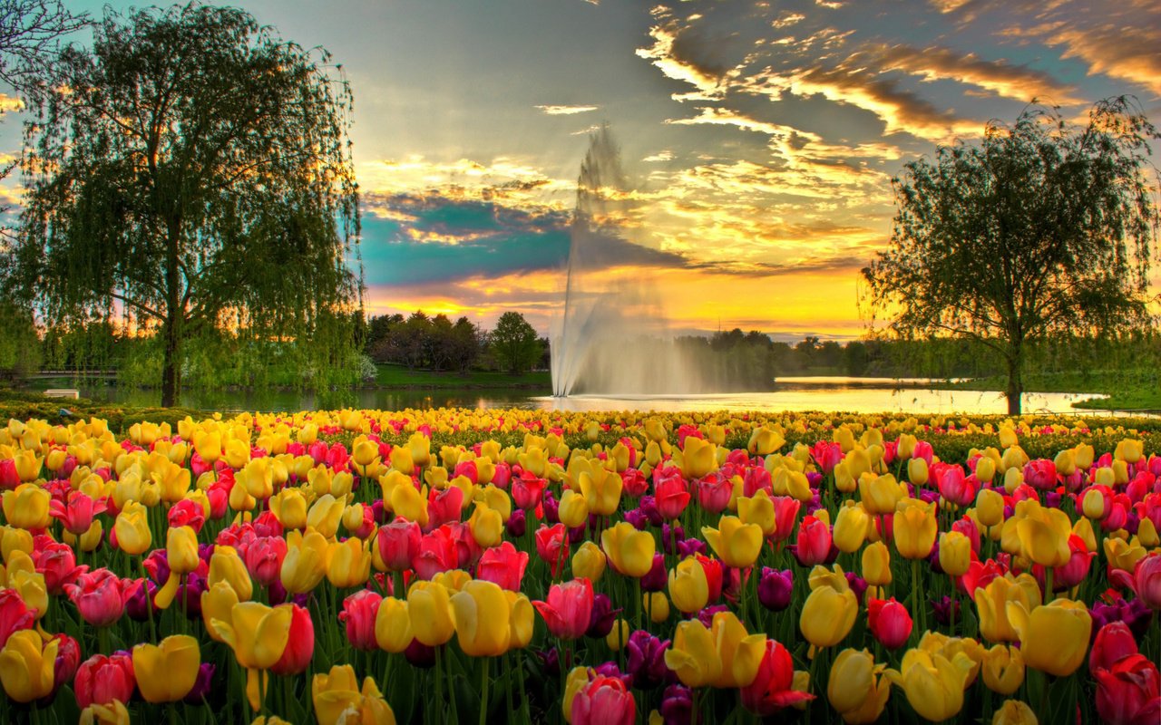 Обои небо, цветы, облака, вечер, парк, фонтан, сша, тюльпаны, the sky, flowers, clouds, the evening, park, fountain, usa, tulips разрешение 3000x2044 Загрузить