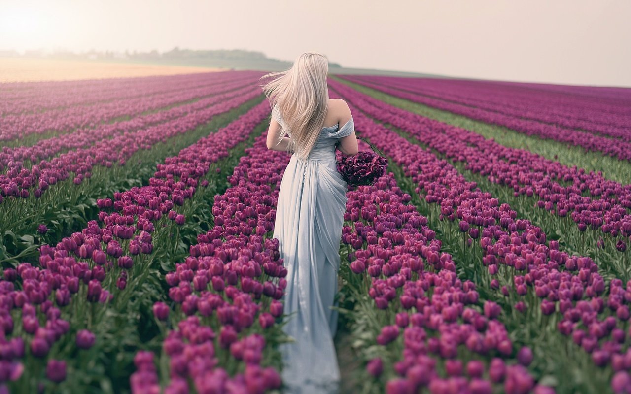 Женщина в поле цветов со спины