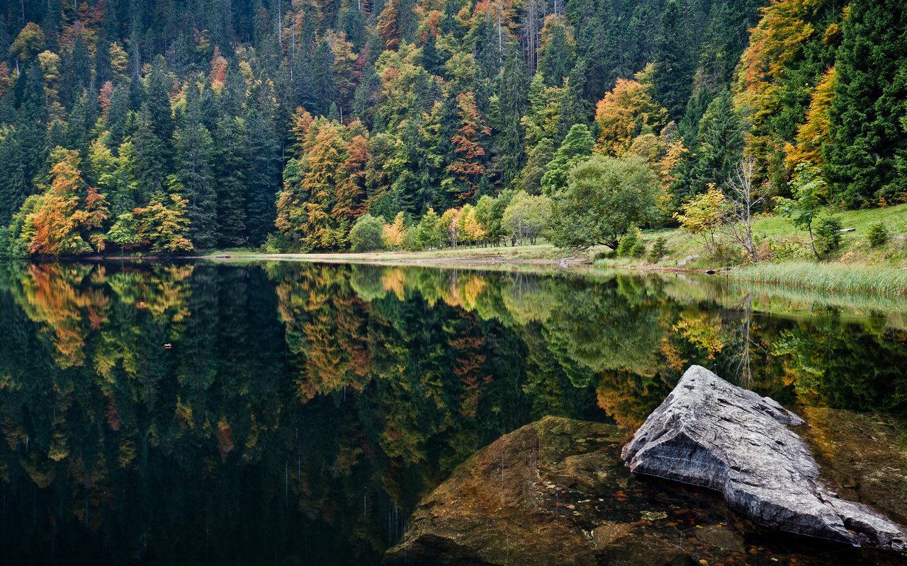 Обои озеро, природа, камни, отражение, пейзаж, леса, lake, nature, stones, reflection, landscape, forest разрешение 4285x2411 Загрузить