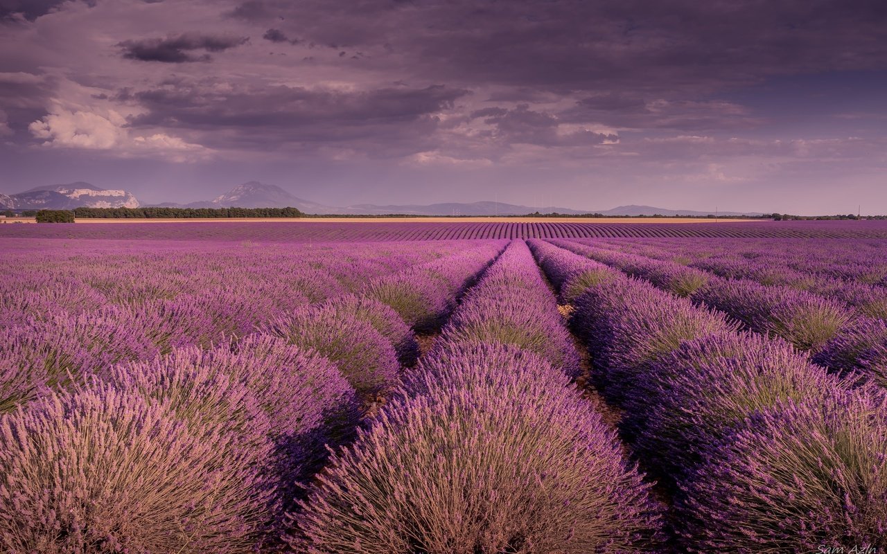 Обои небо, цветы, облака, поле, лаванда, прованс, the sky, flowers, clouds, field, lavender, provence разрешение 2048x1365 Загрузить