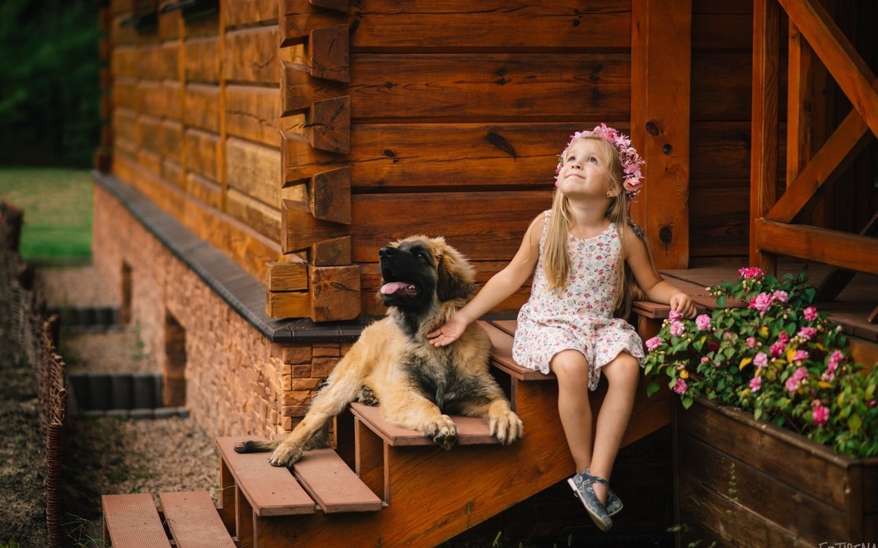 Обои цветы, собака, девочка, дом, ребенок, пес, крыльцо, flowers, dog, girl, house, child, porch разрешение 2048x1367 Загрузить