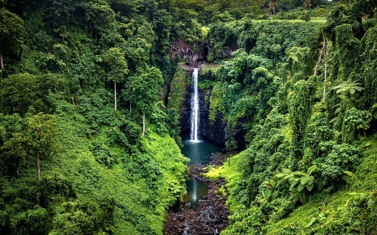 Обои деревья, samoa, камни, зелень, лес, скала, водопад, тропики, джунгли, trees, stones, greens, forest, rock, waterfall, tropics, jungle разрешение 1920x1361 Загрузить