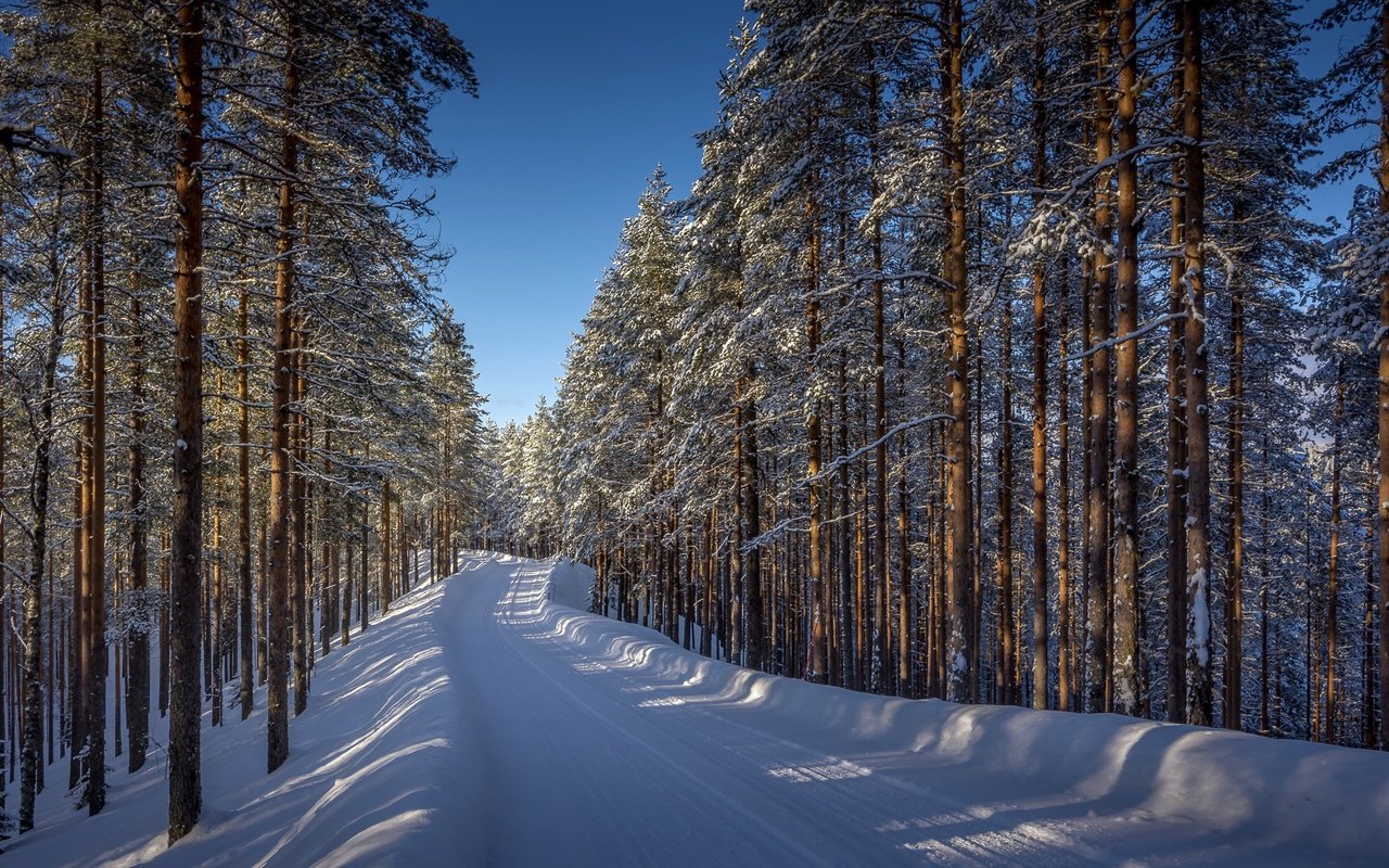 Обои дорога, деревья, снег, лес, зима, road, trees, snow, forest, winter разрешение 1920x1112 Загрузить