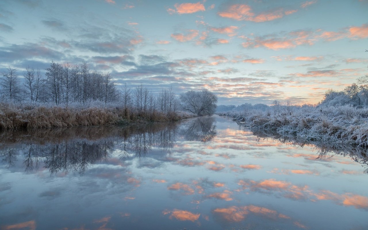 Обои небо, иней, облака, деревья, озеро, природа, лес, зима, пейзаж, the sky, frost, clouds, trees, lake, nature, forest, winter, landscape разрешение 1920x1200 Загрузить