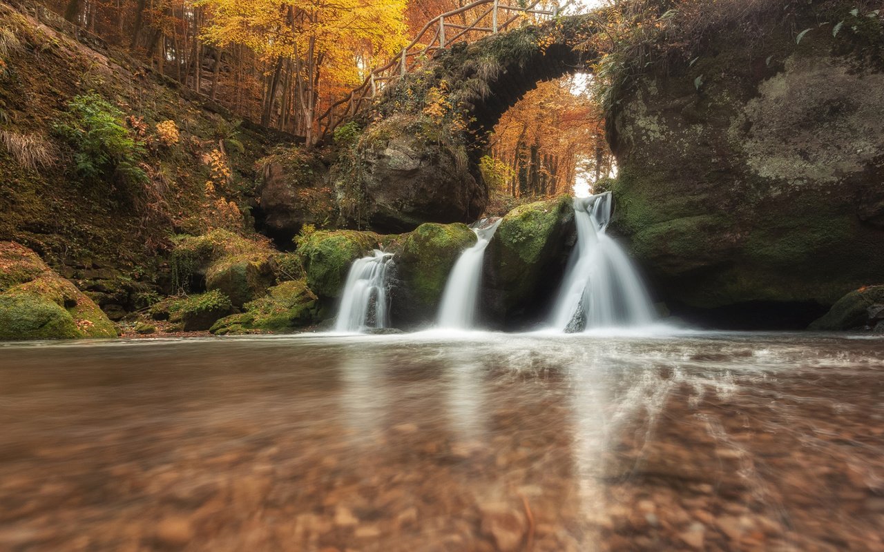 Обои река, природа, камни, лес, мост, водопад, осень, мох, river, nature, stones, forest, bridge, waterfall, autumn, moss разрешение 1920x1080 Загрузить