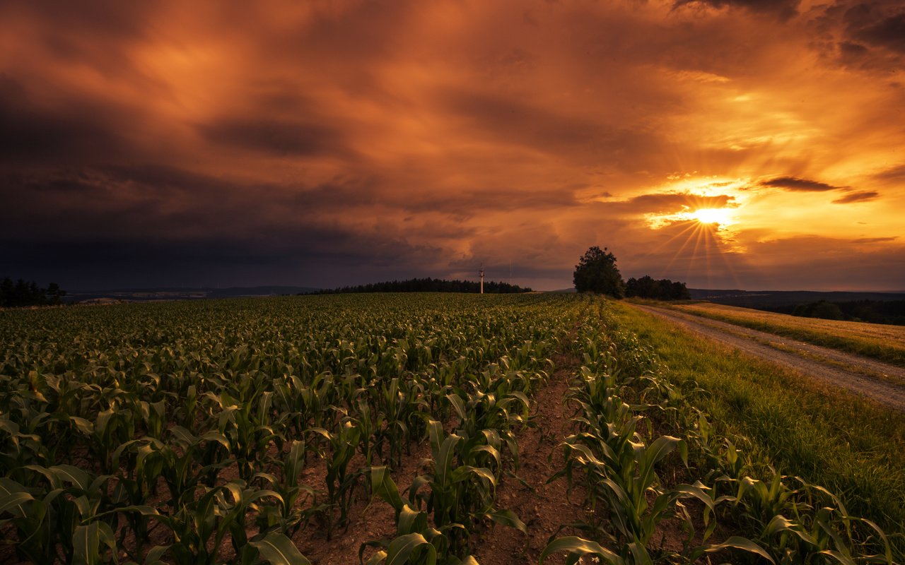 Обои небо, дорога, закат, поле, горизонт, lena held, the sky, road, sunset, field, horizon разрешение 5472x3648 Загрузить