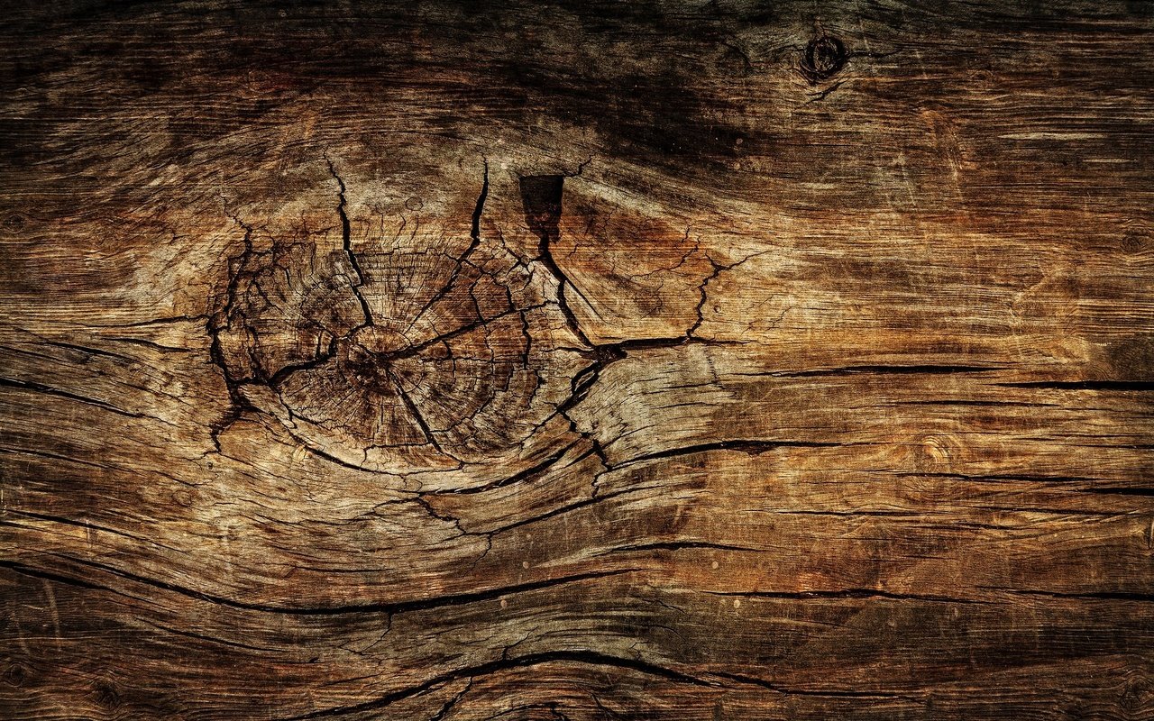 Обои дерево, текстура, доска, древесина, tree, texture, board, wood разрешение 1920x1280 Загрузить