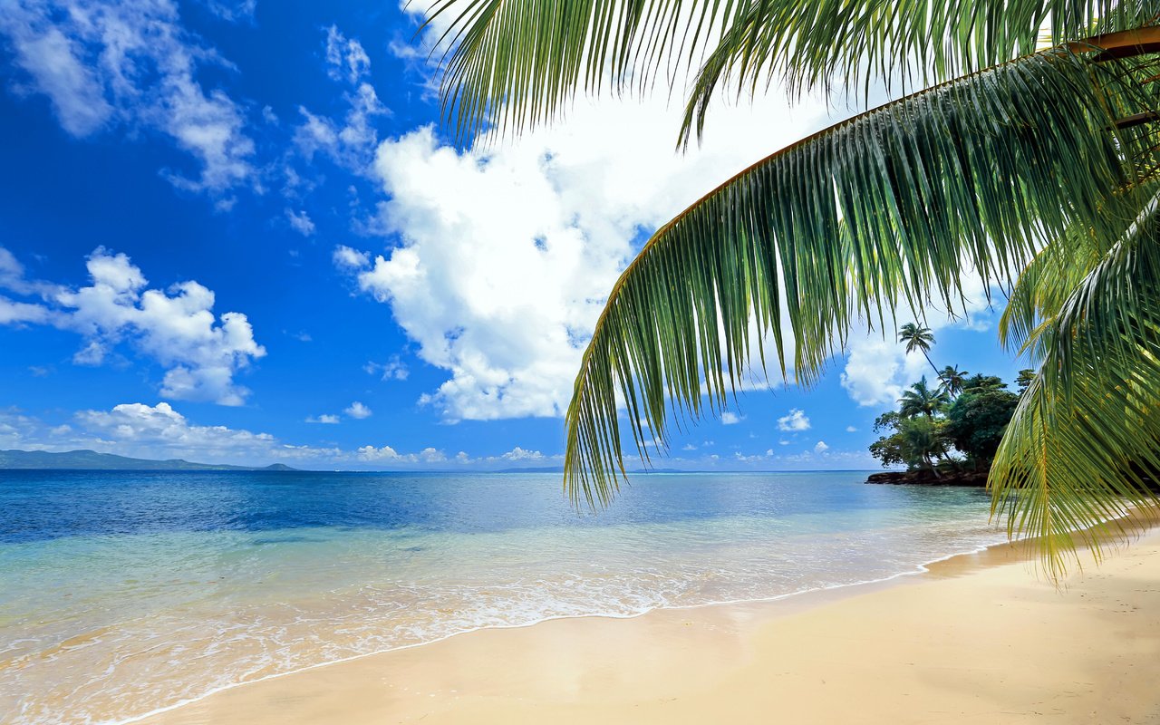 Обои море, пляж, тропики, sea, beach, tropics разрешение 5426x3618 Загрузить