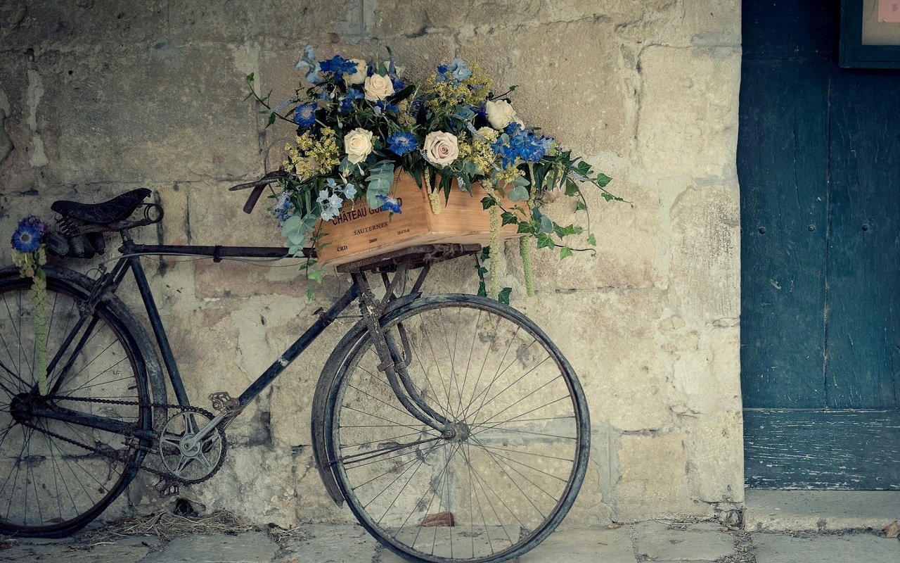 Обои цветы, стена, франция, велосипед, ящик, flowers, wall, france, bike, box разрешение 1920x1200 Загрузить