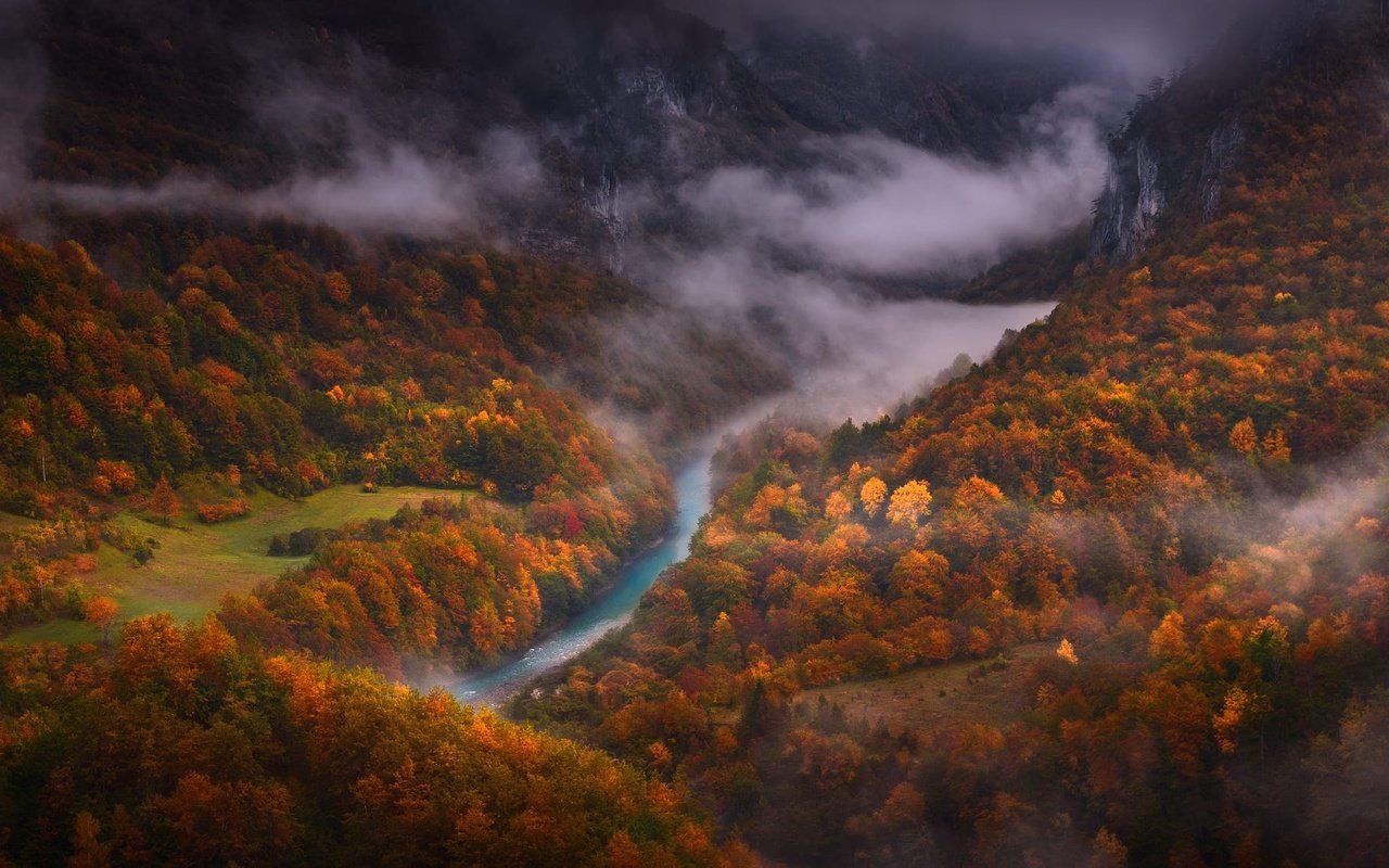 Обои деревья, река, горы, лес, туман, вид сверху, осень, trees, river, mountains, forest, fog, the view from the top, autumn разрешение 2000x1125 Загрузить