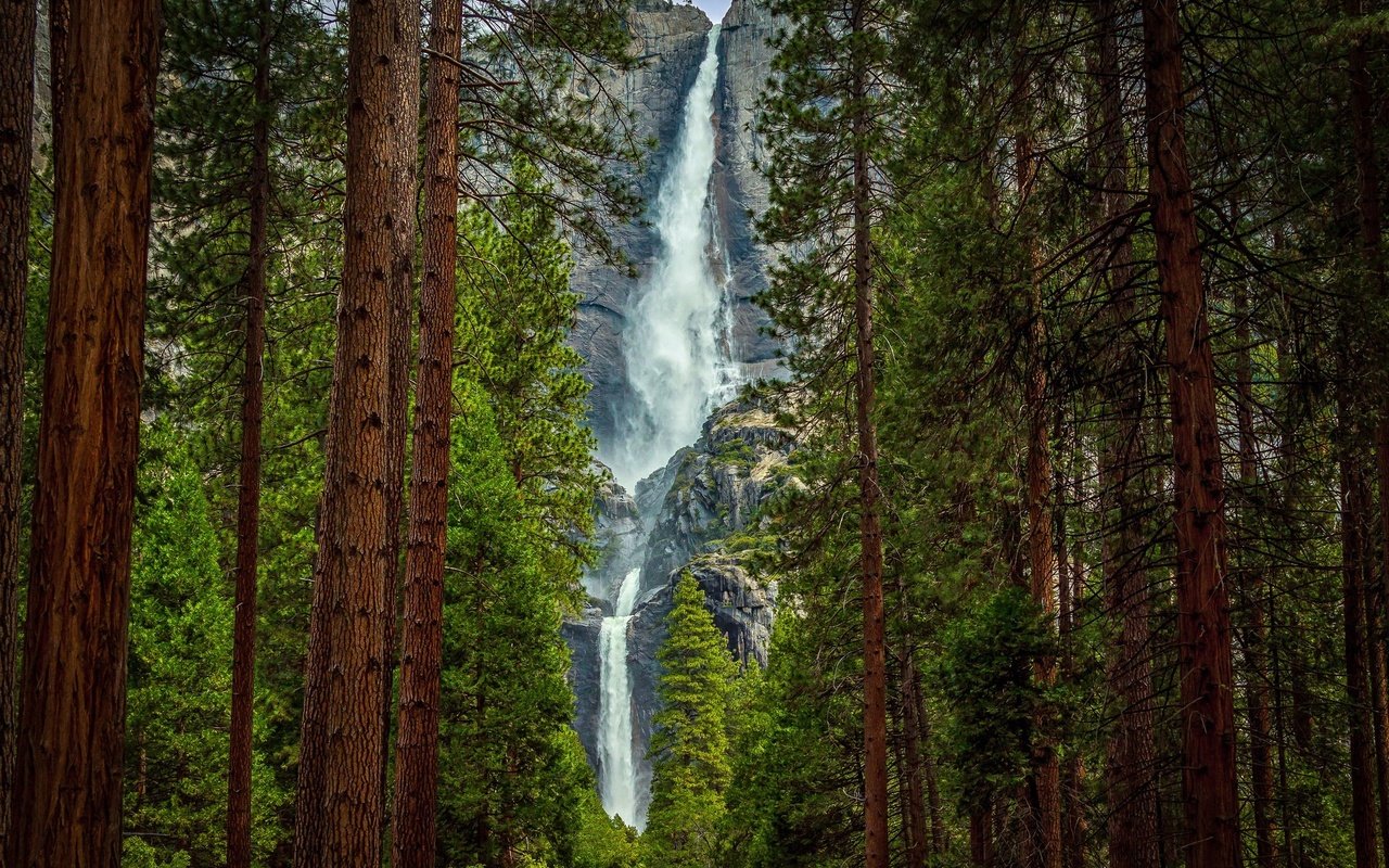 Обои деревья, лес, скала, гора, водопад, йосемите, trees, forest, rock, mountain, waterfall, yosemite разрешение 2048x1290 Загрузить