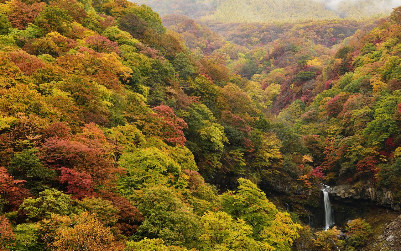 Обои природа, лес, водопад, осень, япония, ирохадзака, nature, forest, waterfall, autumn, japan, irohazaka разрешение 5616x3748 Загрузить