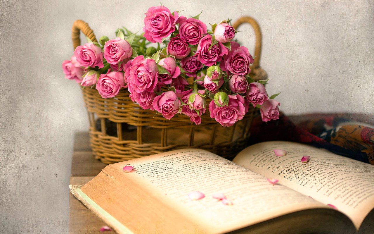 Обои цветы, розы, корзина, книга, flowers, roses, basket, book разрешение 1920x1200 Загрузить