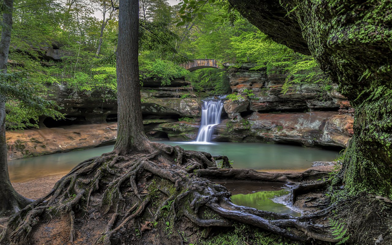 Обои река, скалы, природа, дерево, лес, водопад, корни, river, rocks, nature, tree, forest, waterfall, roots разрешение 3840x2400 Загрузить