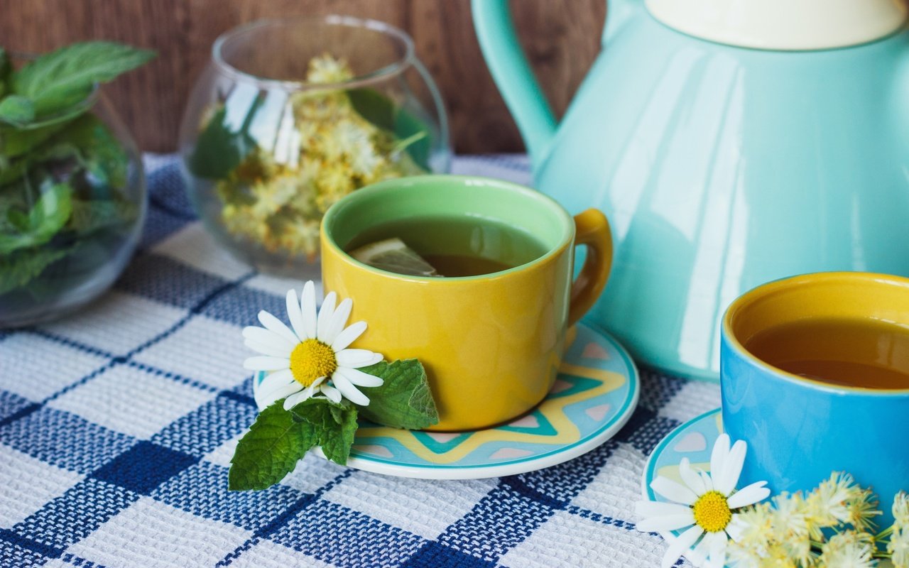 Обои цветы, мята, ромашка, лимон, чай, чашки, flowers, mint, daisy, lemon, tea, cup разрешение 2880x1800 Загрузить