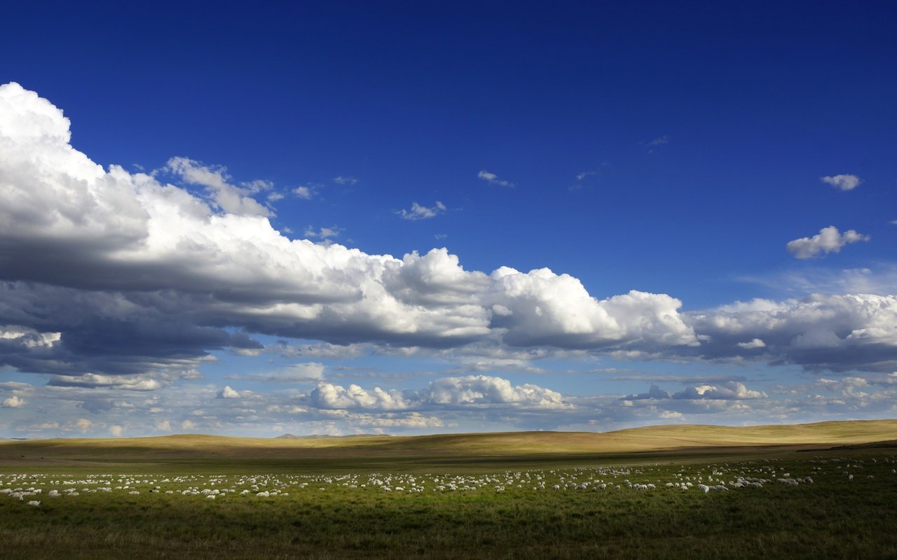 Обои небо, облака, поле, горизонт, голубое небо, the sky, clouds, field, horizon, blue sky разрешение 6000x3375 Загрузить