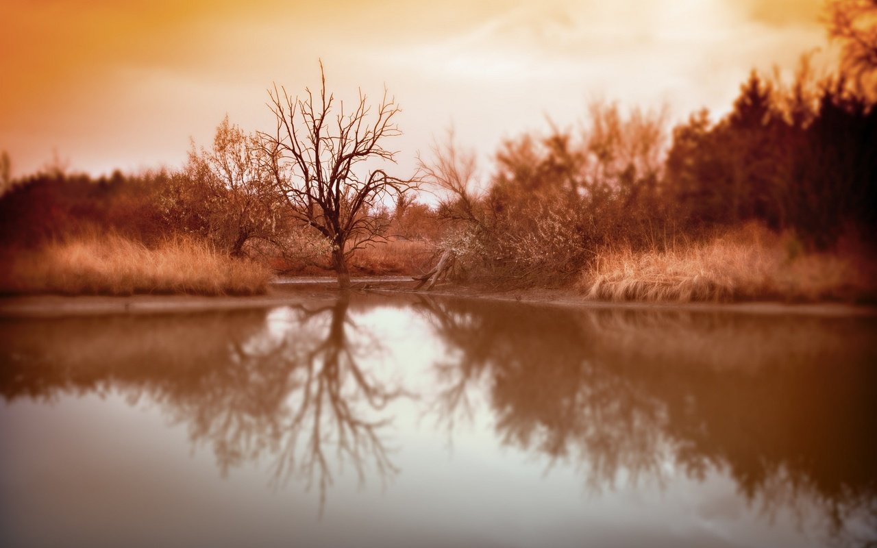 Обои озеро, дерево, отражение, фон, осень, lake, tree, reflection, background, autumn разрешение 2048x1361 Загрузить