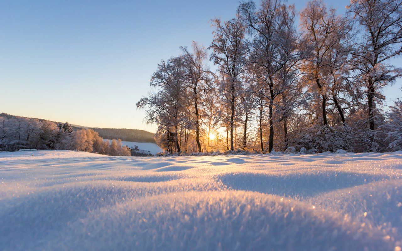 Обои деревья, снег, природа, зима, парк, солнечный свет, trees, snow, nature, winter, park, sunlight разрешение 1920x1200 Загрузить