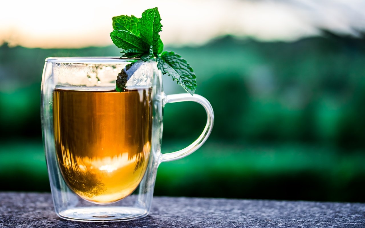 Обои мята, напиток, кружка, чай, травяной чай, mint, drink, mug, tea, herbal tea разрешение 5778x3852 Загрузить
