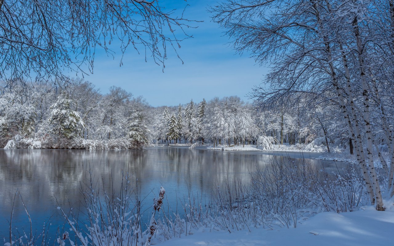 Обои озеро, штат массачусетс, снег, природа, дерево, зима, пейзаж, парк, сша, lake, massachusetts, snow, nature, tree, winter, landscape, park, usa разрешение 5763x3842 Загрузить