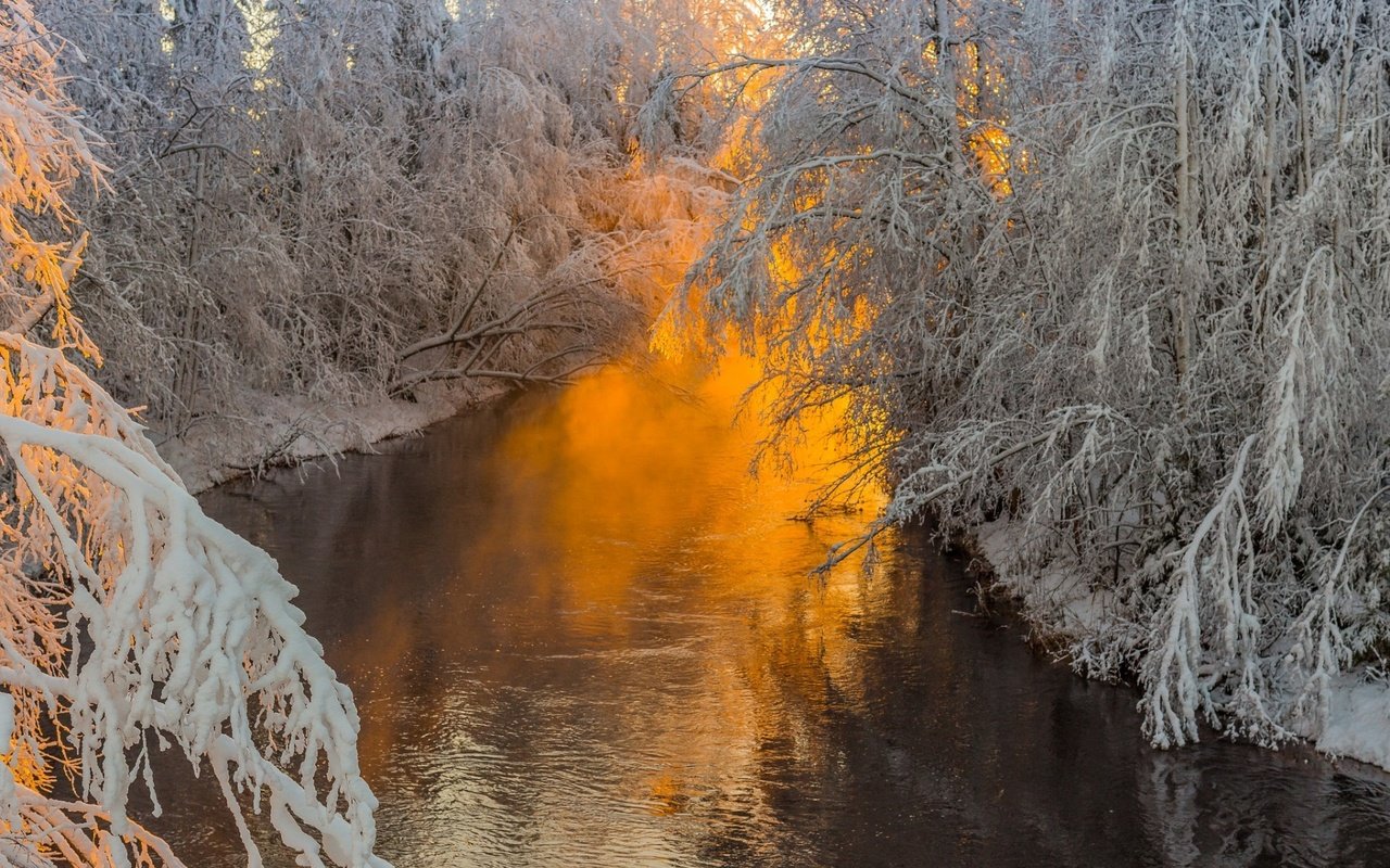 Обои деревья, река, природа, лес, ветки, иней, trees, river, nature, forest, branches, frost разрешение 1920x1200 Загрузить