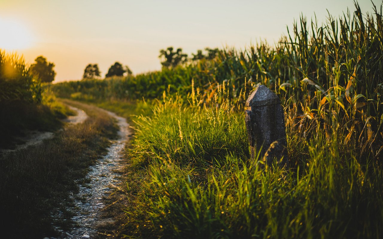 Обои дорога, трава, природа, поле, лето, road, grass, nature, field, summer разрешение 1920x1200 Загрузить