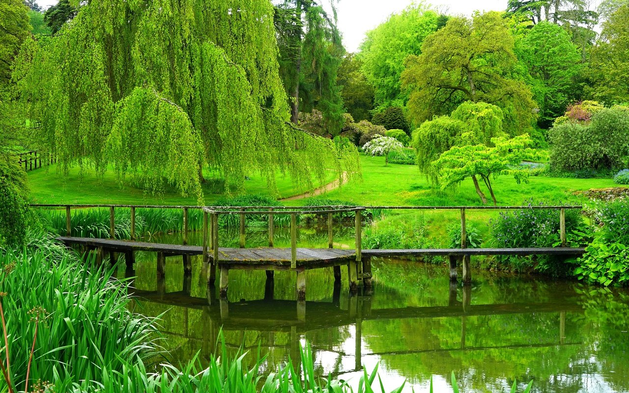 Обои деревья, река, мостик, парк, лето, англия, trees, river, the bridge, park, summer, england разрешение 3900x2600 Загрузить