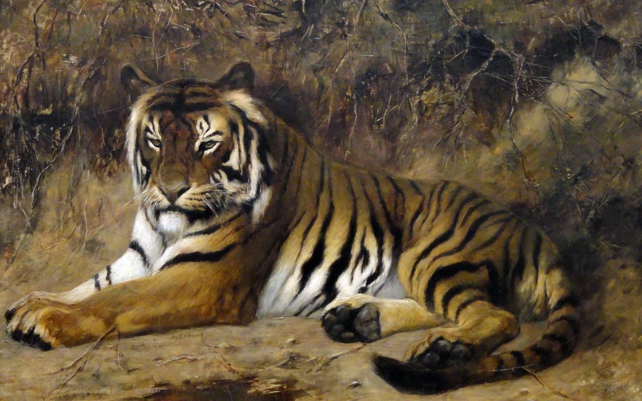 Обои тигр, картина, кошка, животное, жан-леон жером, tiger, picture, cat, animal, jean-leon gerome разрешение 2350x1533 Загрузить
