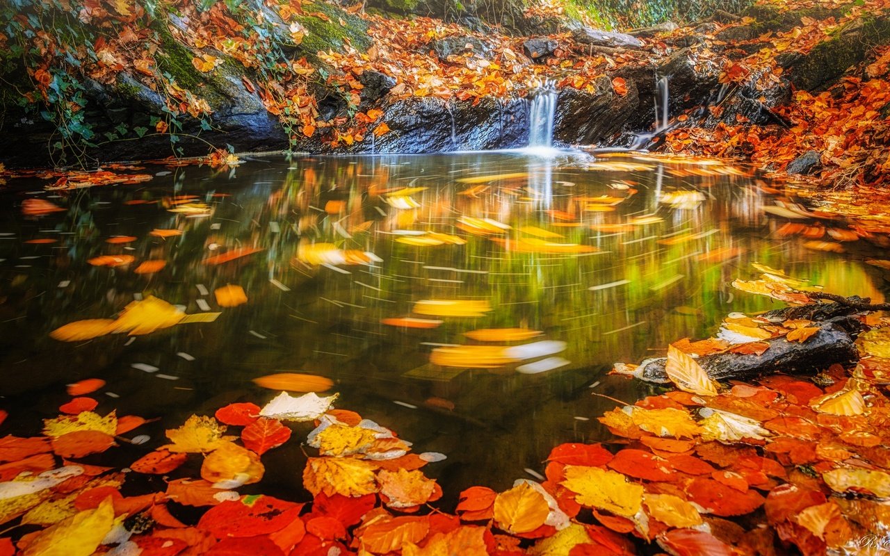 Обои вода, листья, водопад, осень, поток, water, leaves, waterfall, autumn, stream разрешение 2048x1198 Загрузить