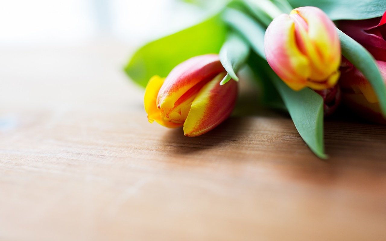 Обои цветы, весна, тюльпаны, деревянная поверхность, flowers, spring, tulips, wooden surface разрешение 2880x1800 Загрузить