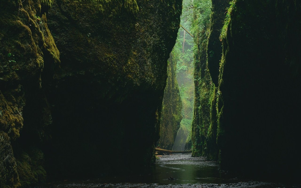 Обои вода, камни, каньон, ущелье, мох, water, stones, canyon, gorge, moss разрешение 2000x1500 Загрузить