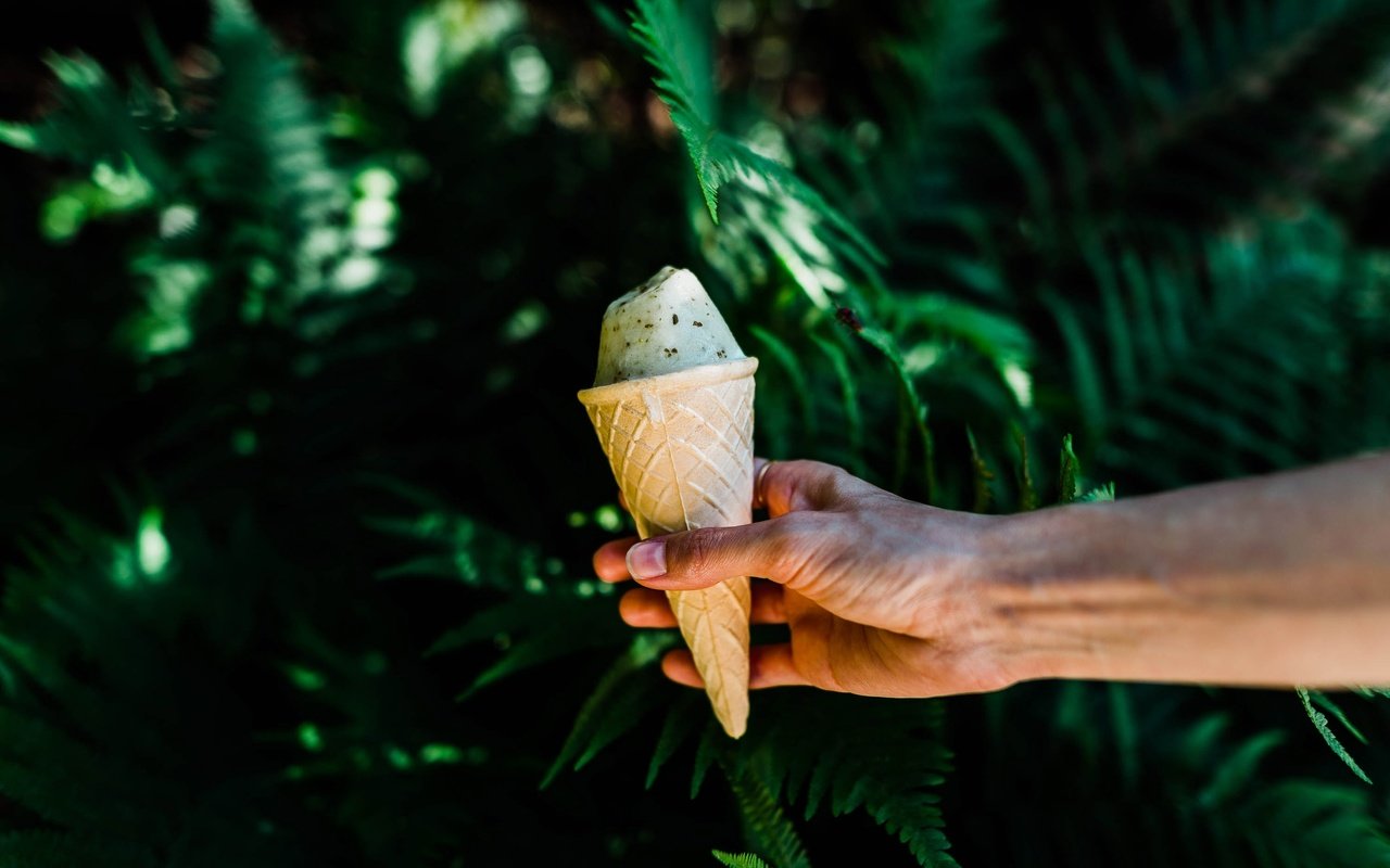 Обои природа, рука, листья, мороженое, растение, вафельный рожок, nature, hand, leaves, ice cream, plant, waffle cone разрешение 2997x2000 Загрузить