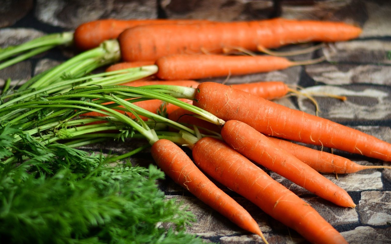 Обои урожай, овощи, морковь, harvest, vegetables, carrots разрешение 5561x2821 Загрузить