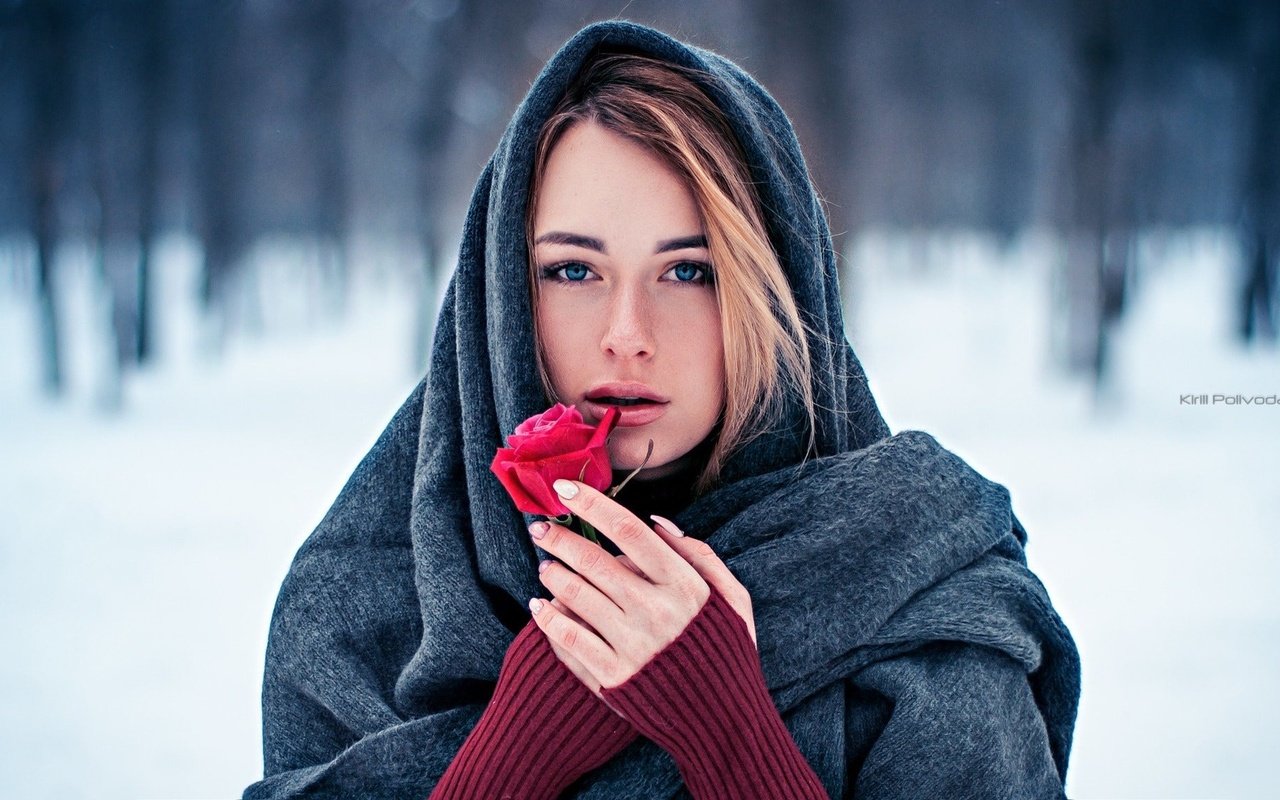 Обои зима, девушка, цветок, роза, платок, winter, girl, flower, rose, shawl разрешение 2048x1152 Загрузить
