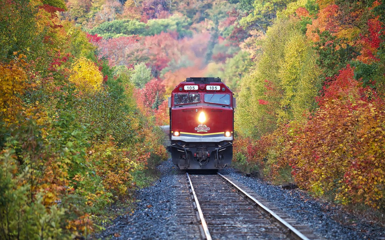Обои деревья, железная дорога, лес, осень, поезд, trees, railroad, forest, autumn, train разрешение 1920x1200 Загрузить