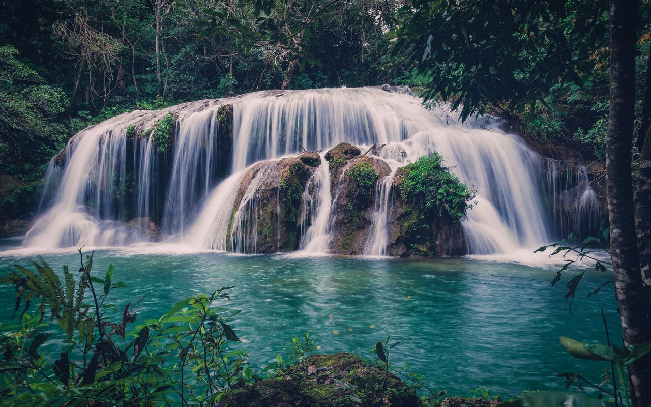 Обои река, природа, лес, водопад, stijn van der biest, river, nature, forest, waterfall разрешение 1920x1200 Загрузить