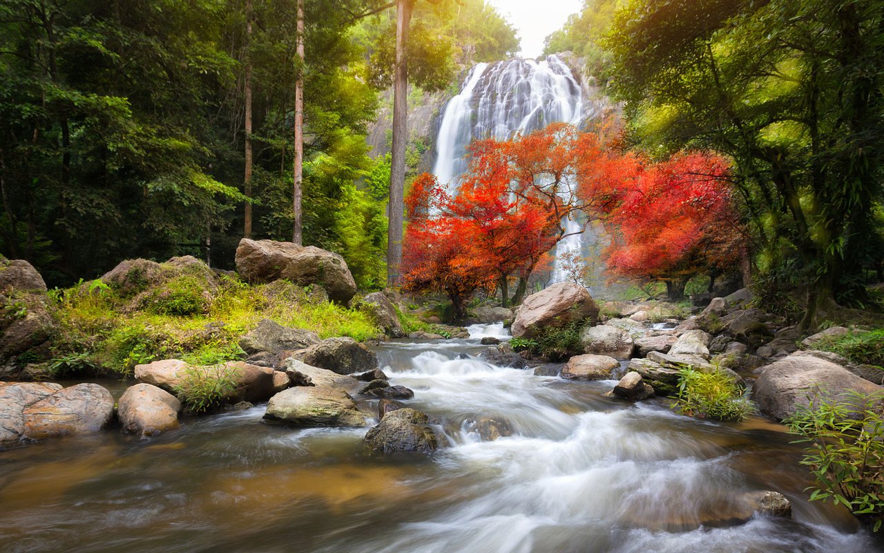 Обои река, природа, лес, водопад, осень, поток, таиланд, patrick foto, канчанабури, kanchanaburi, river, nature, forest, waterfall, autumn, stream, thailand разрешение 1920x1080 Загрузить