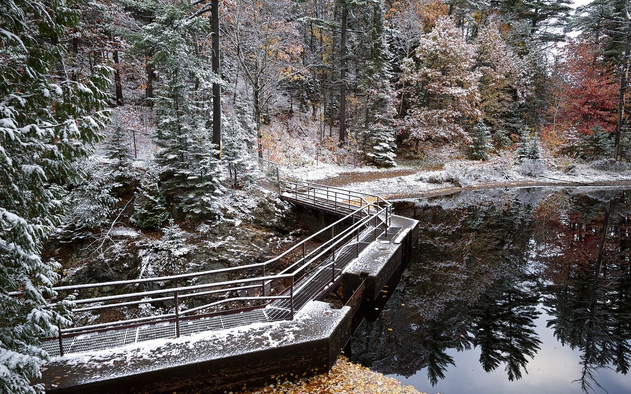 Обои деревья, озеро, природа, мостик, лес, зима, отражение, trees, lake, nature, the bridge, forest, winter, reflection разрешение 1920x1200 Загрузить