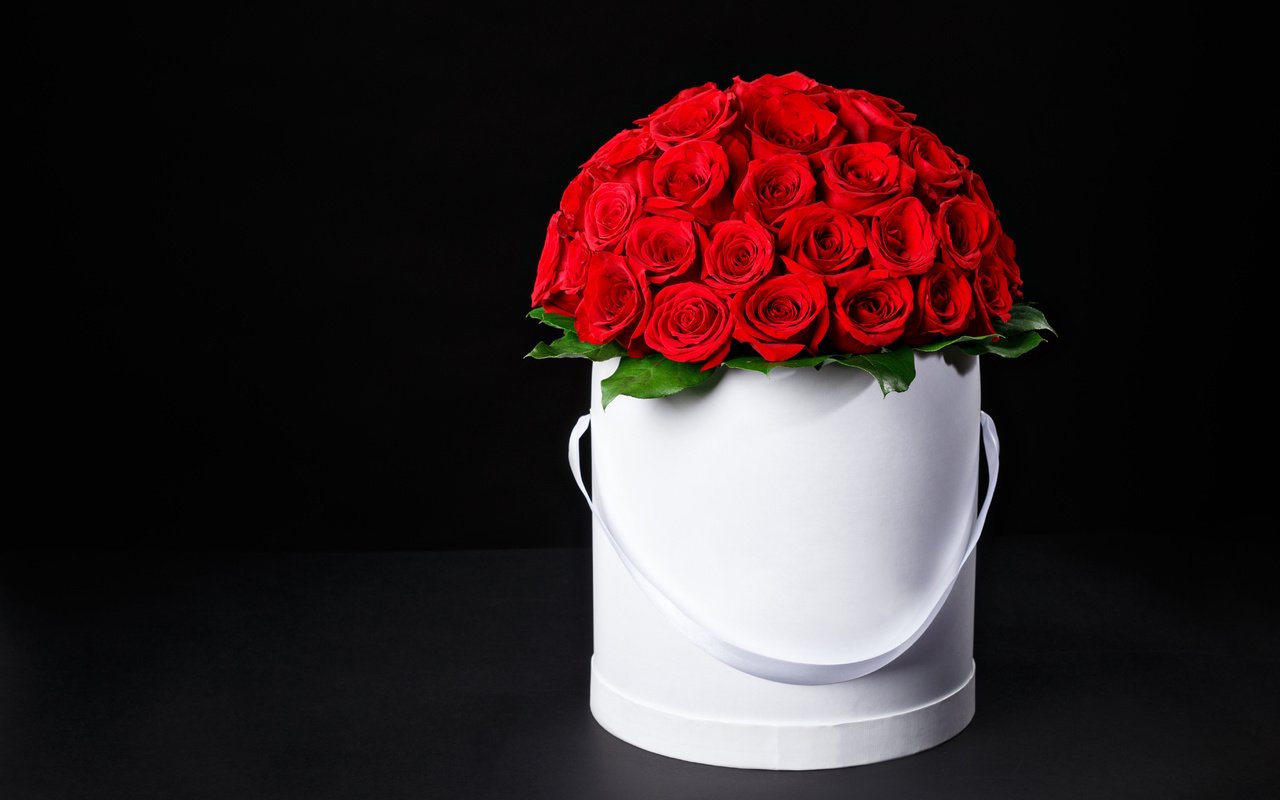 Обои цветы, розы, букет, коробка, красные розы, flowers, roses, bouquet, box, red roses разрешение 5472x3648 Загрузить