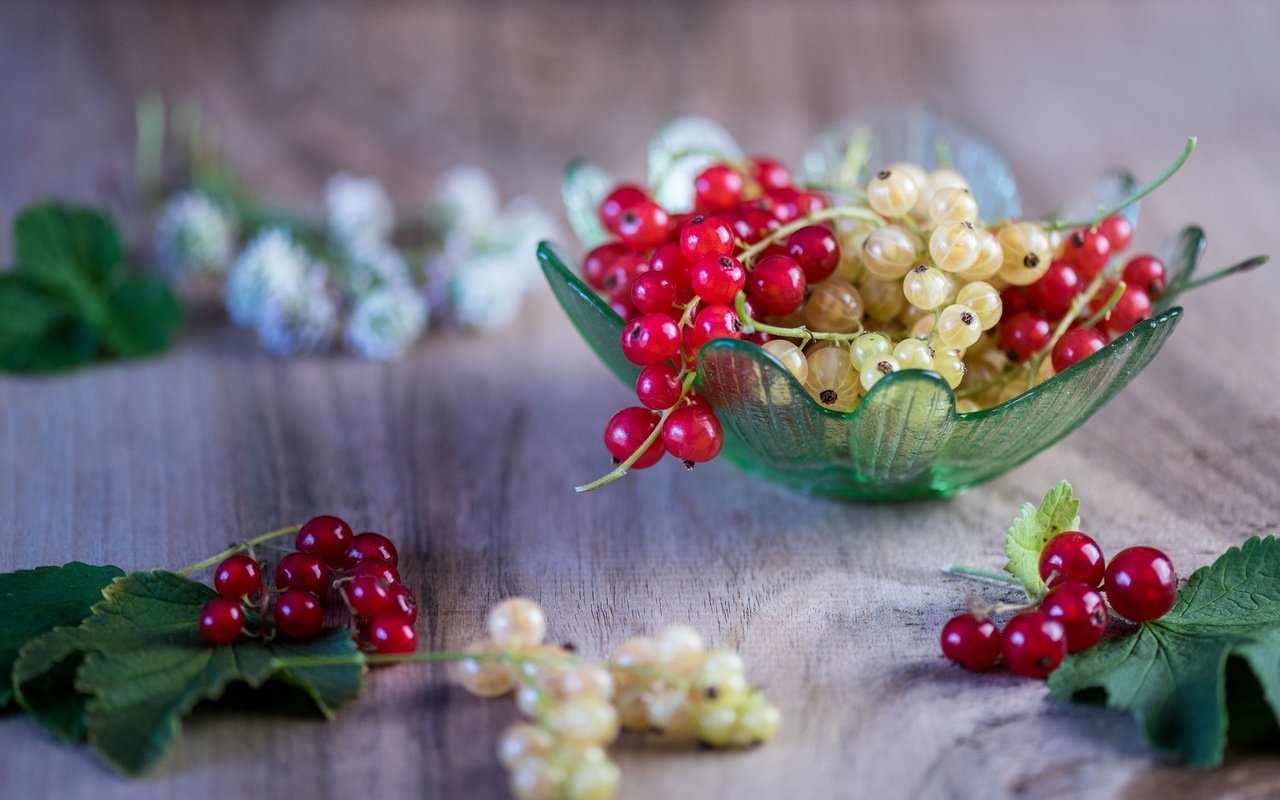 Обои ягоды, листики, вкусно, смородина, спелые, веточки, berries, leaves, delicious, currants, ripe, twigs разрешение 2048x1230 Загрузить