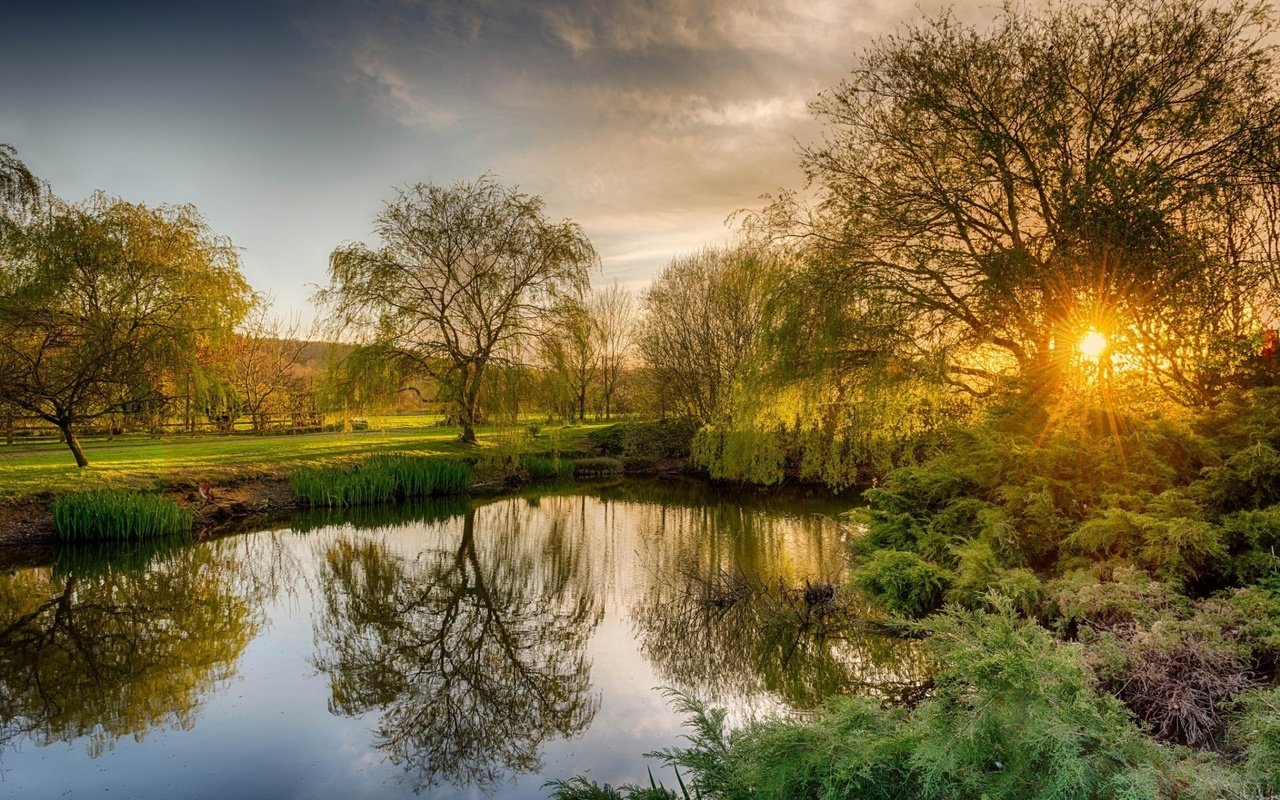 Обои деревья, река, природа, утро, рассвет, trees, river, nature, morning, dawn разрешение 1920x1200 Загрузить