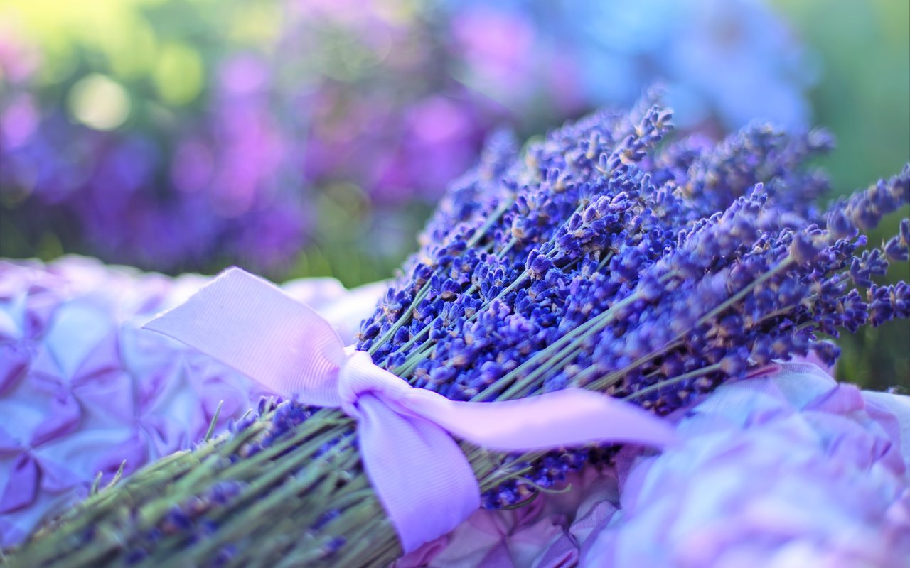 Обои цветы, лаванда, букет, лента, букет лаванды, flowers, lavender, bouquet, tape, bouquet of lavender разрешение 3840x2400 Загрузить