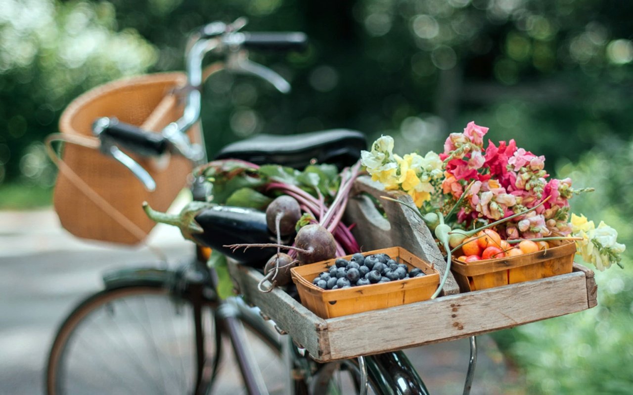 Обои цветы, лето, фрукты, овощи, велосипед, боке, flowers, summer, fruit, vegetables, bike, bokeh разрешение 2048x1383 Загрузить