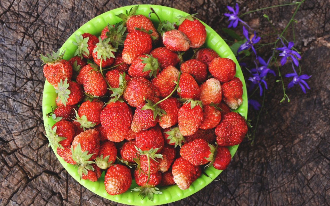 Обои цветок, лето, клубника, ягоды, пень, миска, flower, summer, strawberry, berries, stump, bowl разрешение 4608x3072 Загрузить