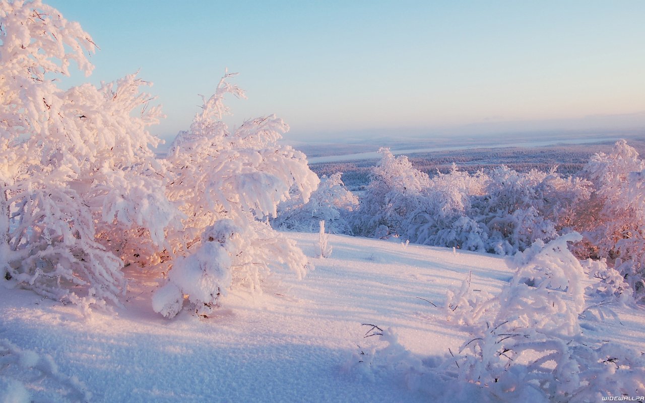 Обои небо, свет, деревья, снег, зима, горизонт, иней, the sky, light, trees, snow, winter, horizon, frost разрешение 1920x1080 Загрузить