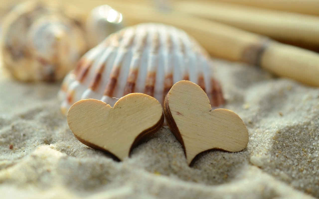 Обои песок, сердце, сердечки, ракушка, sand, heart, hearts, shell разрешение 4928x3264 Загрузить