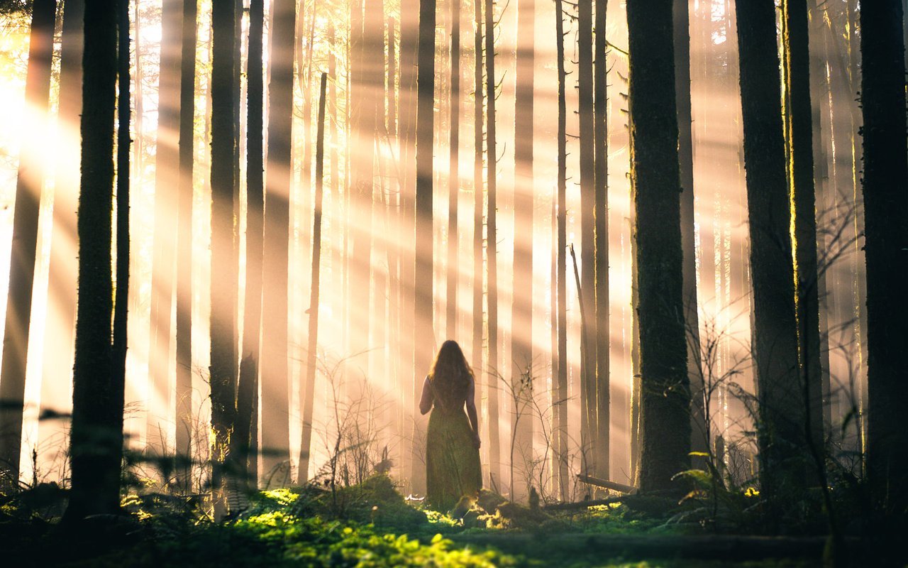 Обои свет, деревья, лес, девушка, лучи, стволы, lizzy gadd, light, trees, forest, girl, rays, trunks разрешение 2000x1333 Загрузить