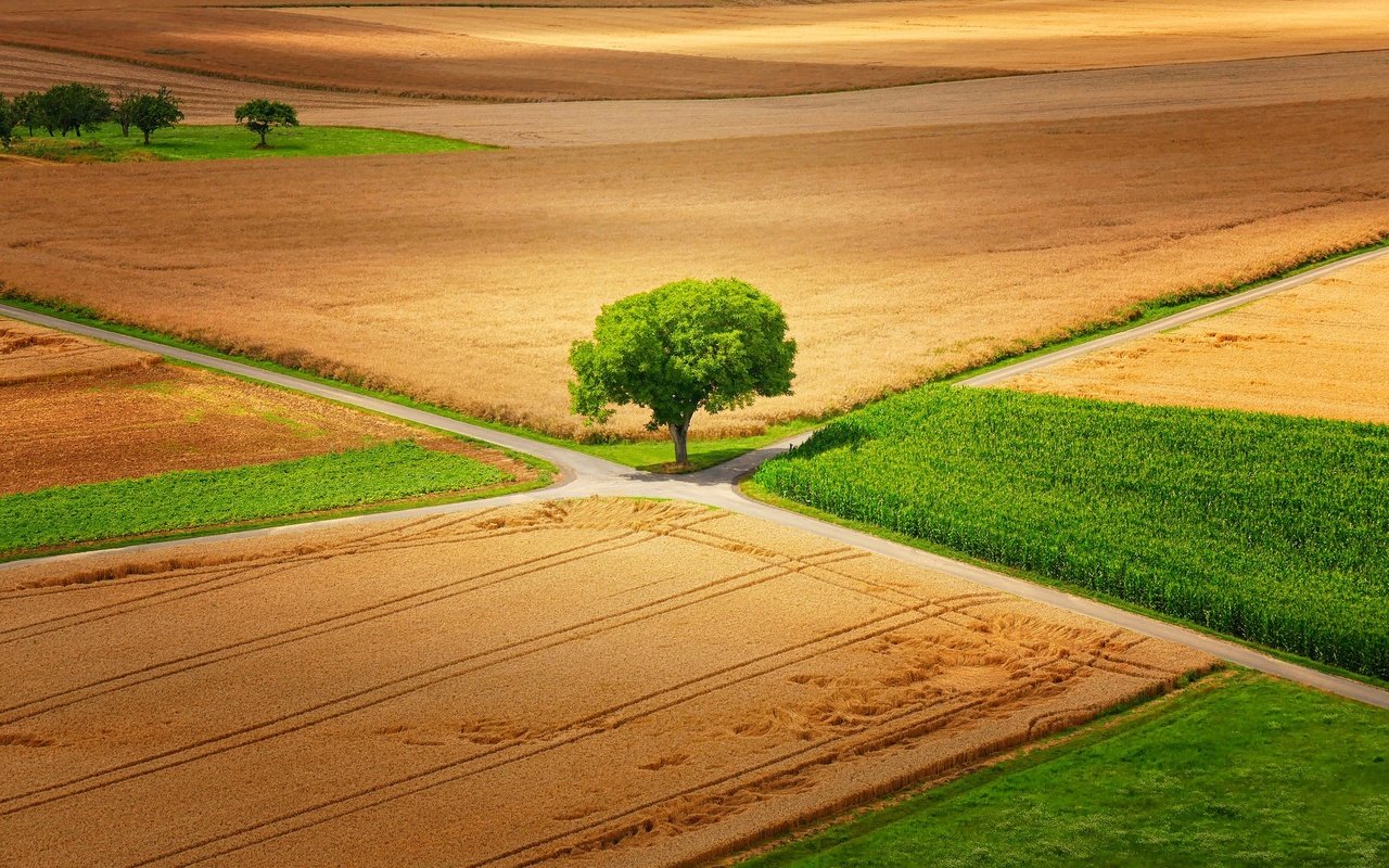 Обои природа, дерево, пейзаж, поле, дороги, германия, little♥krawler, гессен, nature, tree, landscape, field, road, germany, hessen разрешение 2048x1365 Загрузить