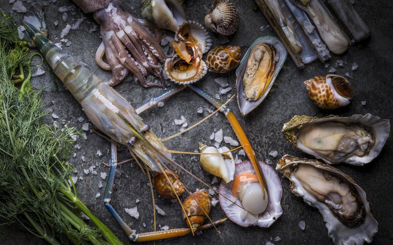 Обои кальмар, укроп, морепродукты, креветки, моллюски, устрицы, squid, dill, seafood, shrimp, shellfish, oysters разрешение 2048x1365 Загрузить