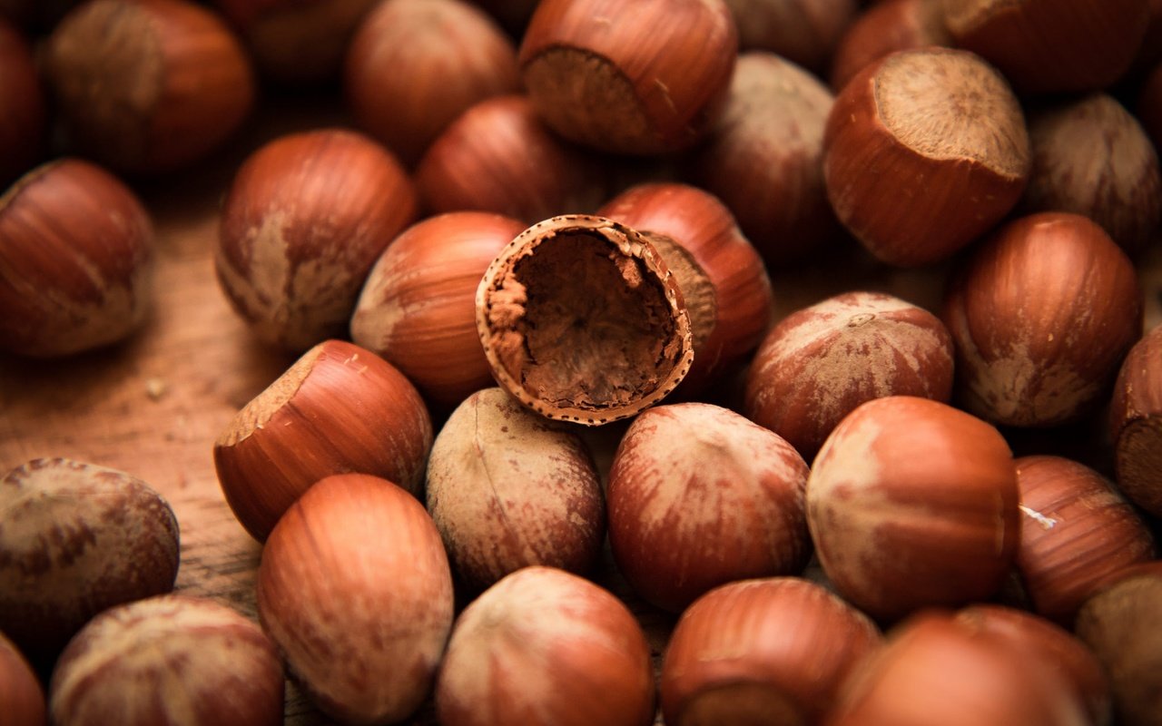 Обои орехи, фундук, лесной орех, nuts, hazelnuts, hazelnut разрешение 2048x1365 Загрузить